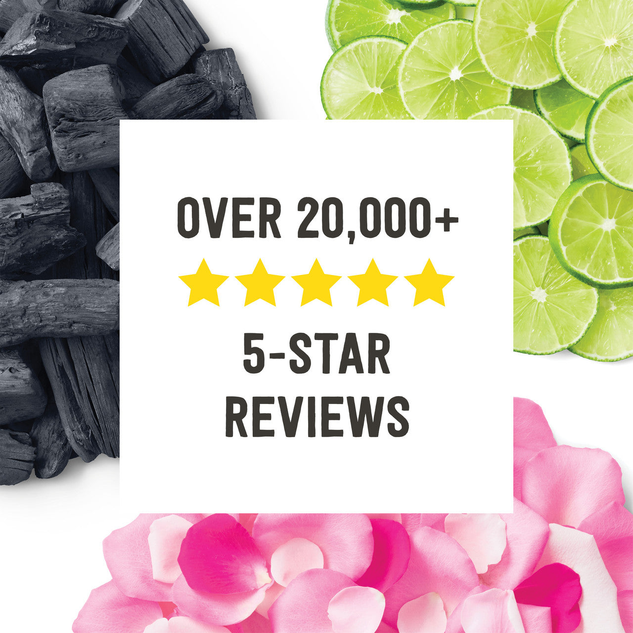 SCHMDT CITRUS SNDLWD DEODORANT ( 1 X 2.65 OZ   )