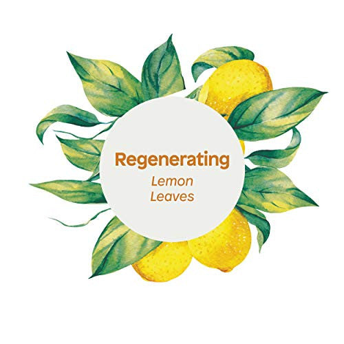 ATITUD BDY/CRM REGENRTNG ( 1 X 8 OZ   )