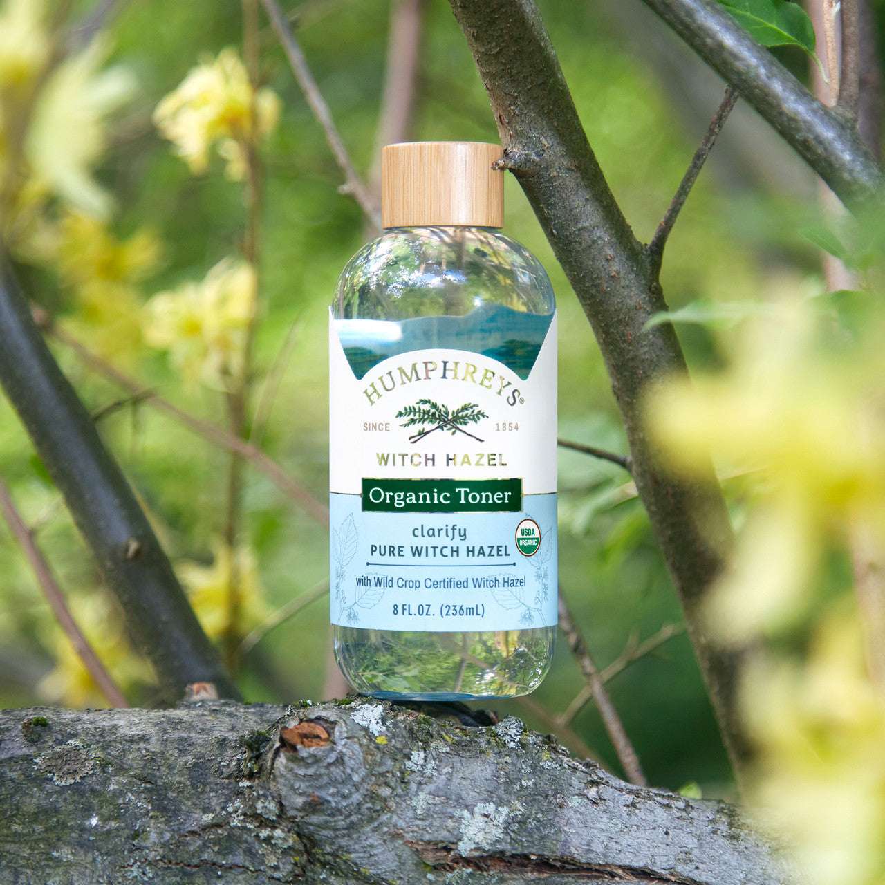 OG2 HMPH WTCH HZL PURE ( 1 X 8 OZ   )