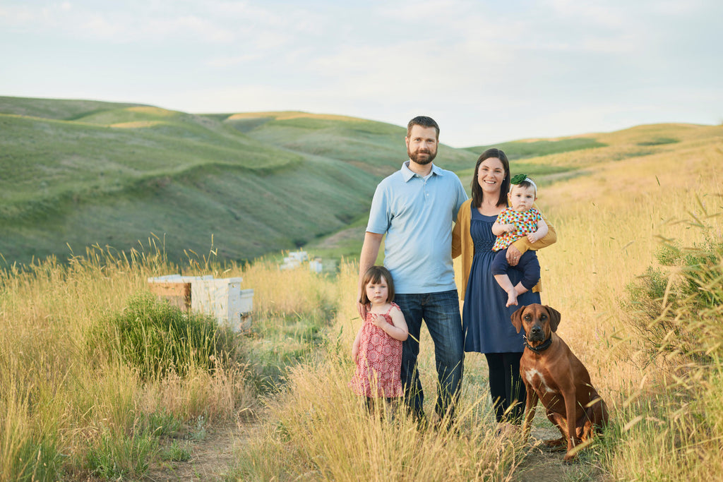 HHNY WILDFLOWER BEE PLN ( 12 X 7.8 OZ   )