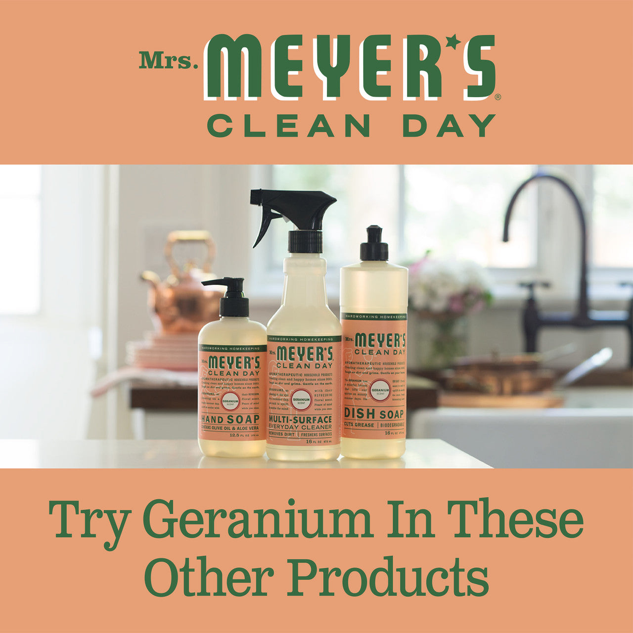 Meyers Geranium Liquid Hand Soap (6x12.5 Oz)