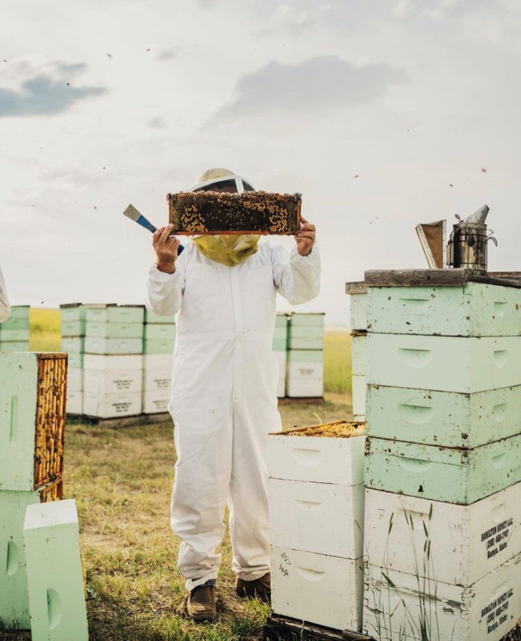 LOCHIV HONEY CLOVER  ( 6 X 6 OZ   )