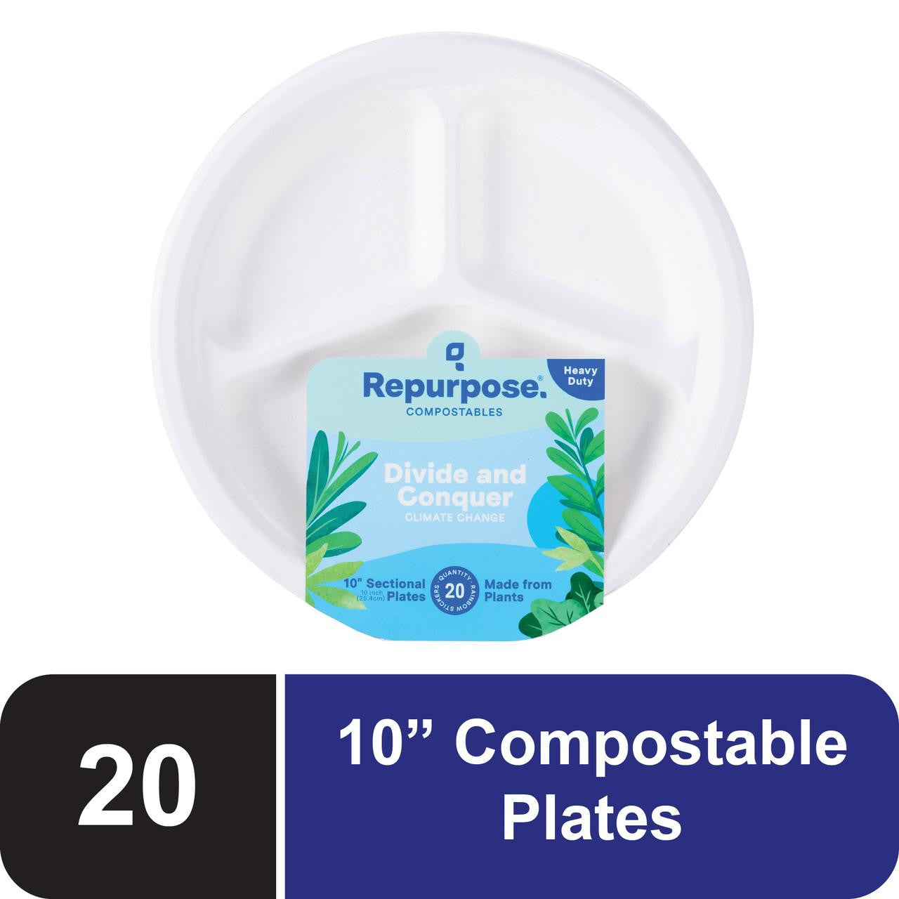 RPURP PLATES SECTL 10 IN ( 12 X 20 CT   )