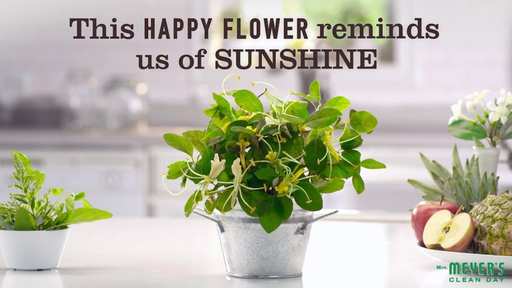 Mrs Meyers Liquid Hand Sp Honeyskl (6x12.5OZ )